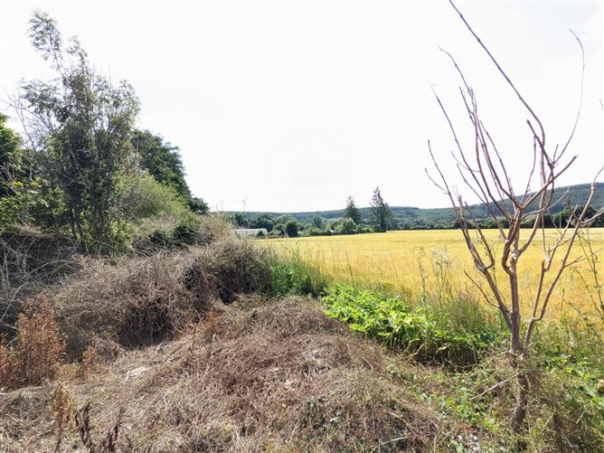 Site, Beaufield, Bunclody, Co. Wexford
