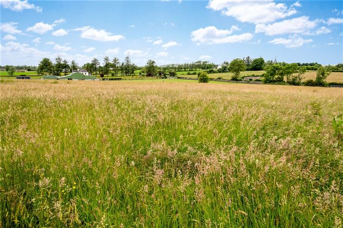 Carra, Bullaun, Loughrea, Co. Galway