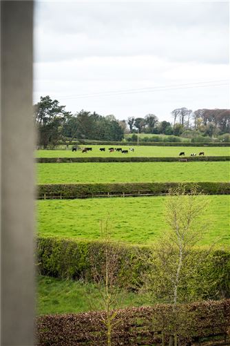 Foxwood, Blackrath, The Curragh, Co. Kildare