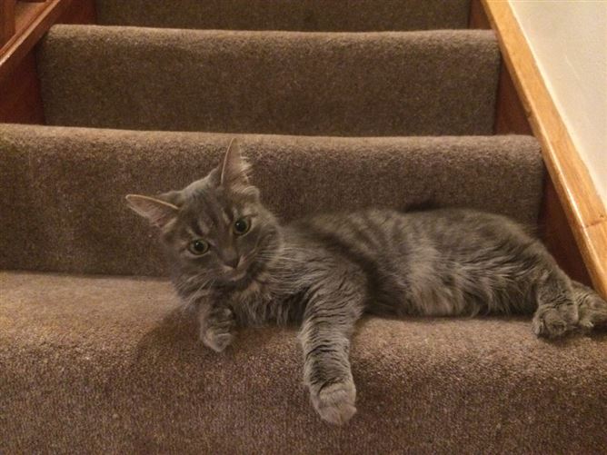 Welcoming home!, Dublin 12, Dublin