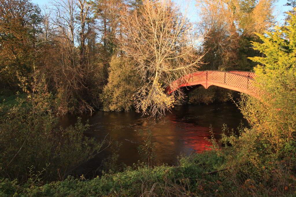 13 Dolmen Mews, Kilkenny Road, Carlow
