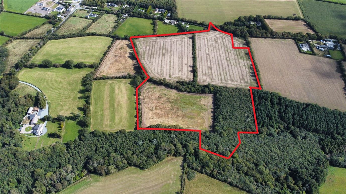 c. 26 Acres holding at Tullycanna, Ballymitty, Wexford