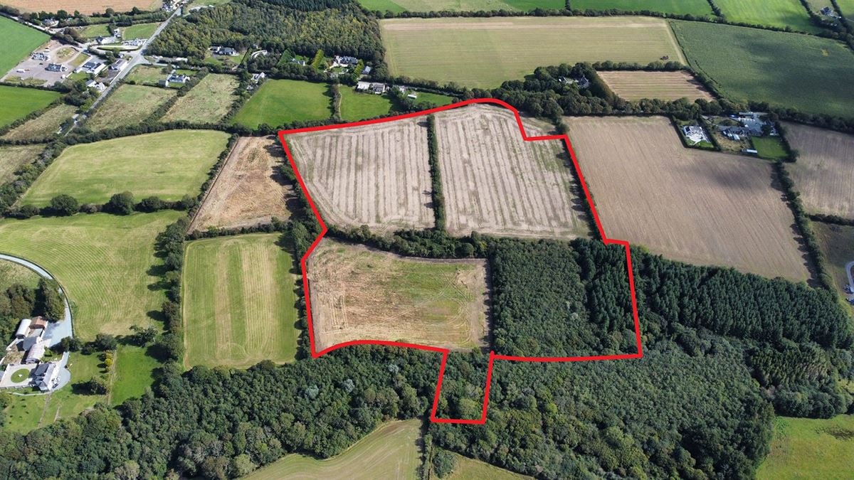 c. 26 Acres holding at Tullycanna, Ballymitty, Wexford