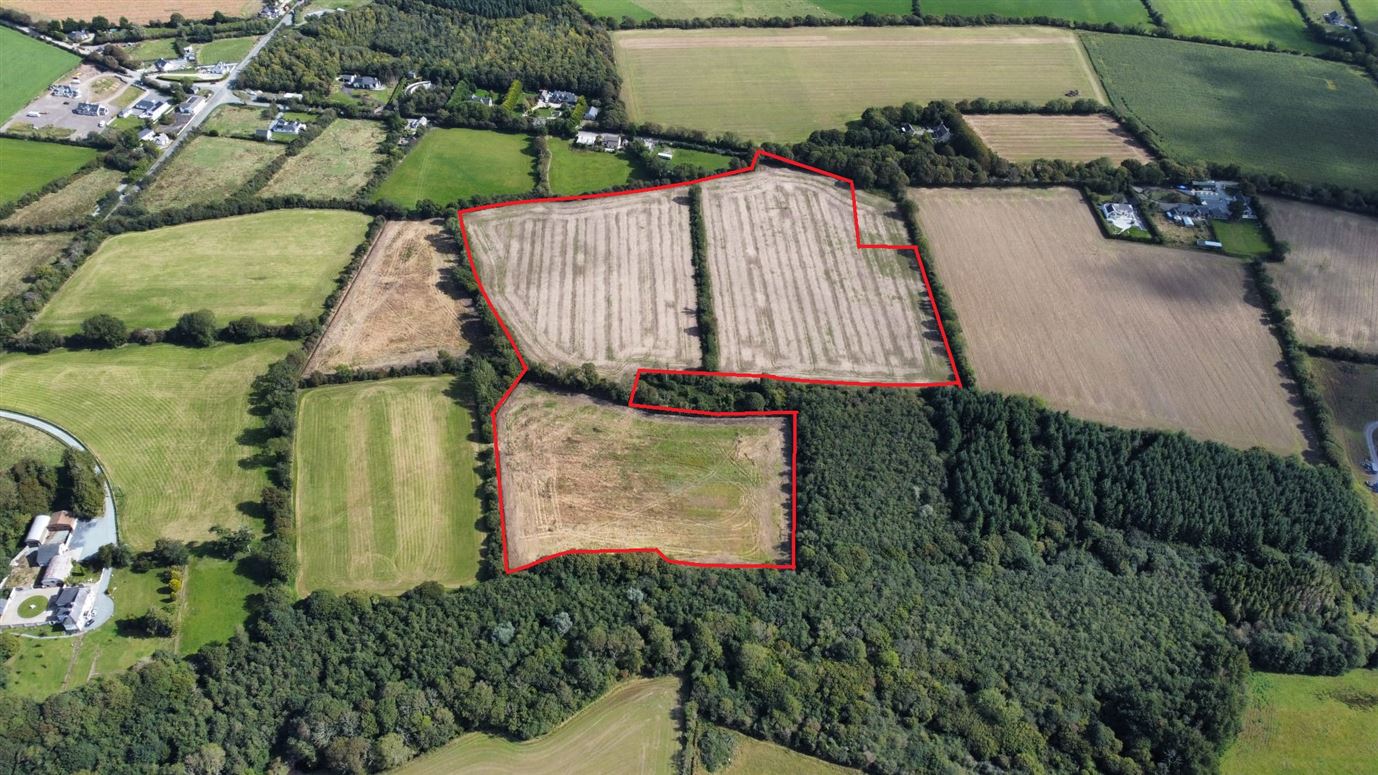 c. 21.36 Acres holding at Tullycanna, Ballymitty, Wexford