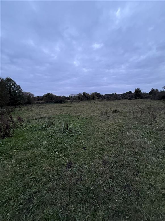 Philipstown Upper, Cushina, Bracknagh, Offaly