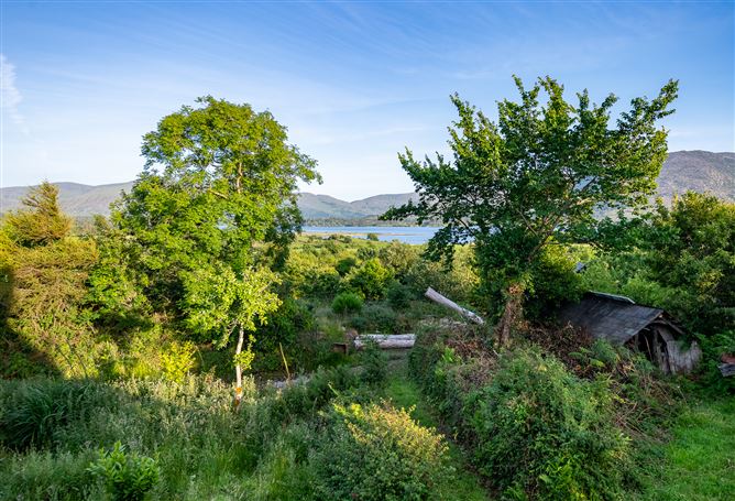 Photo 54 of 60 — Spyglass Hill, Loughaunacreen, Kilmakillouge, Lauragh - Kenmare, Co. Kerry