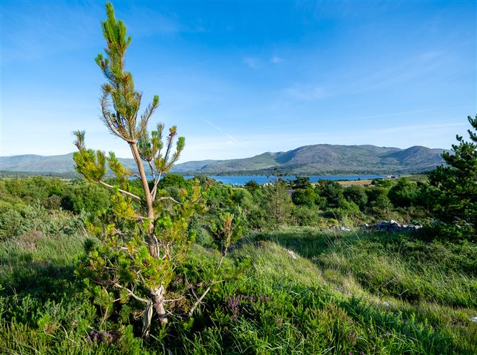 Photo 56 of 60 — Spyglass Hill, Loughaunacreen, Kilmakillouge, Lauragh - Kenmare, Co. Kerry