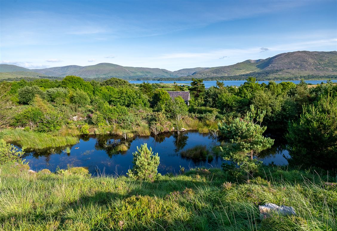 Spyglass Hill, Loughaunacreen, Kilmakillouge, Lauragh – Kenmare, Co. Kerry, V93 KW94 Spyglass Hill, Loughaunacreen, Kilmakillouge, Lauragh – Kenmare, Co. Kerry, V93 KW94