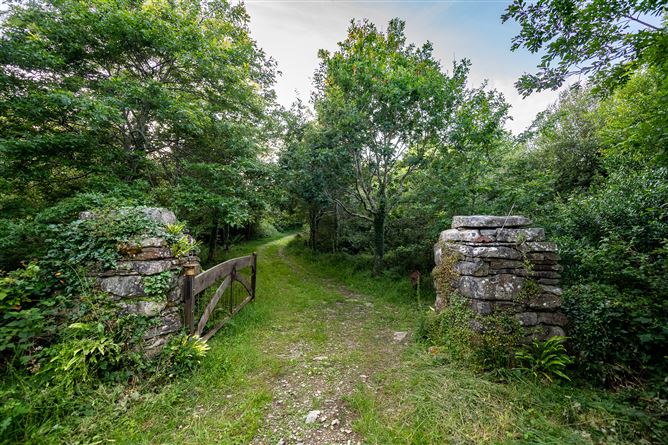 Photo 15 of 60 — Spyglass Hill, Loughaunacreen, Kilmakillouge, Lauragh - Kenmare, Co. Kerry