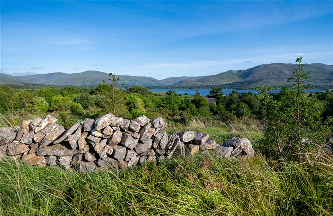 Photo 57 of 60 — Spyglass Hill, Loughaunacreen, Kilmakillouge, Lauragh - Kenmare, Co. Kerry