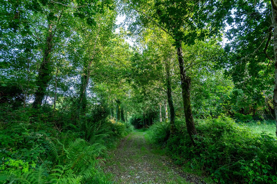Spyglass Hill, Loughaunacreen, Kilmakillouge, Lauragh – Kenmare, Co. Kerry, V93 KW94 Spyglass Hill, Loughaunacreen, Kilmakillouge, Lauragh – Kenmare, Co. Kerry, V93 KW94