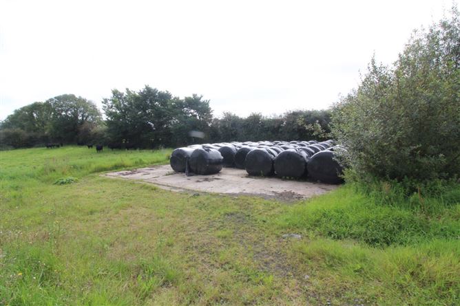 Farm At Ballybeg, Knockmore, Ballina, Co. Mayo