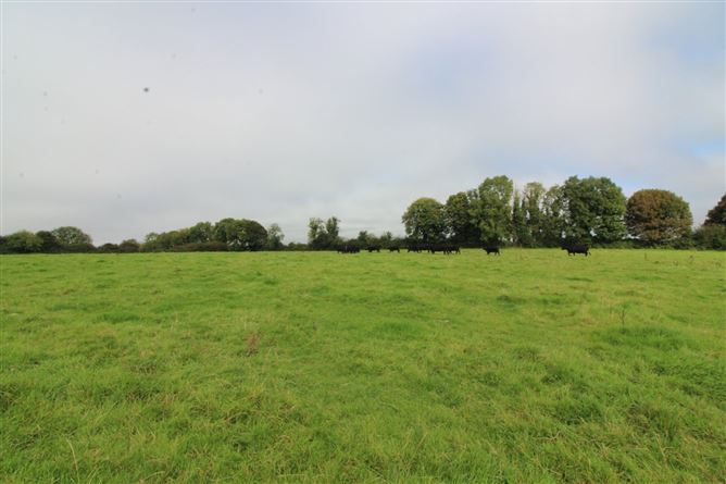 Farm At Ballybeg, Knockmore, Ballina, Co. Mayo