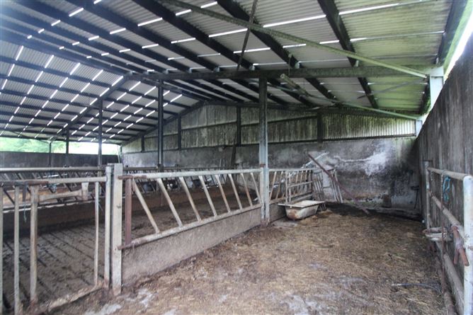 Farm At Ballybeg, Knockmore, Ballina, Co. Mayo