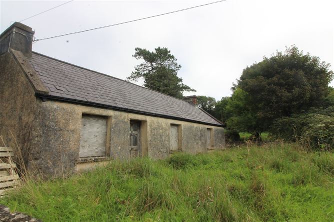 Farm At Ballybeg, Knockmore, Ballina, Co. Mayo