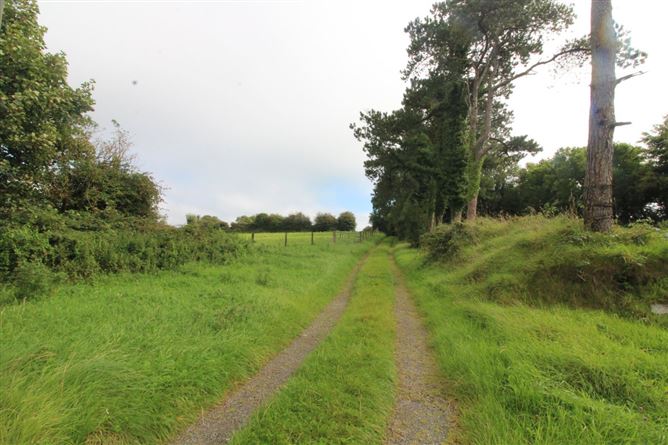 Farm At Ballybeg, Knockmore, Ballina, Co. Mayo