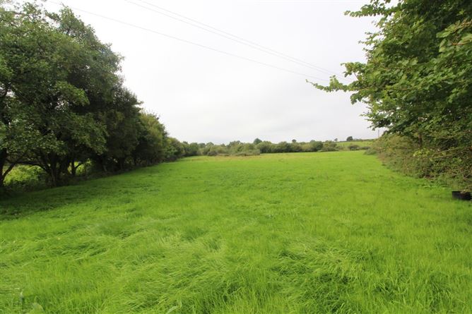 Farm At Ballybeg, Knockmore, Ballina, Co. Mayo