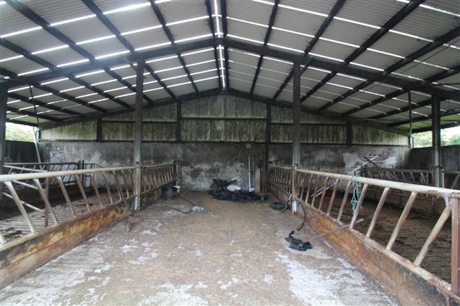 Farm At Ballybeg, Knockmore, Ballina, Co. Mayo