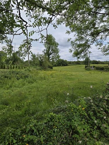 Le Carrow Killeen, Muckersaune, Neale, County Mayo