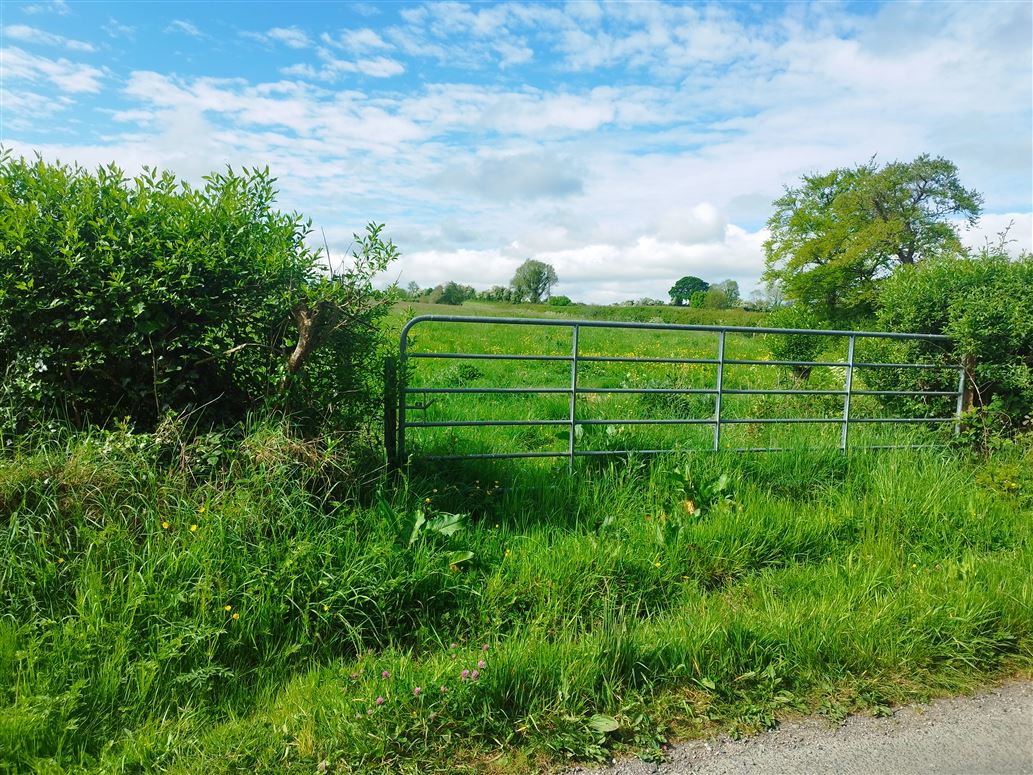 Dromsally, Cappamore, Limerick