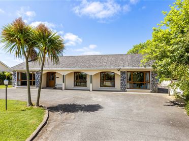 Image for Rio Grande, Macetown, Dunshaughlin, Co. Meath