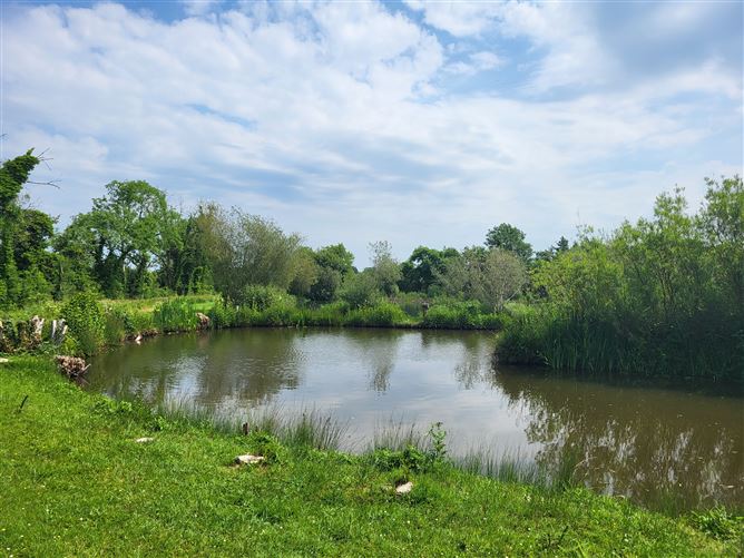  LAKELAND FISHERY, Roosky New, Rooskey, Roscommon
