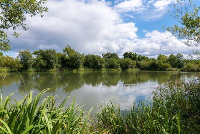  LAKELAND FISHERY, Roosky New, Rooskey, Roscommon