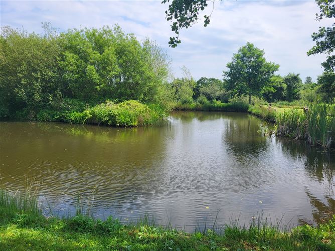 LAKELAND FISHERY, Roosky New, Rooskey, Roscommon