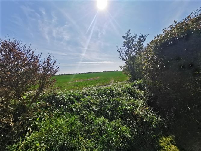 Blaricum, Ballyaddragh, Kilrane, Co. Wexford