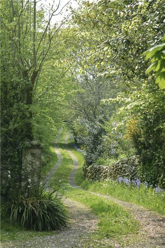 Robins Farm, Knocknaboolagh, Killorglin, Co. Kerry
