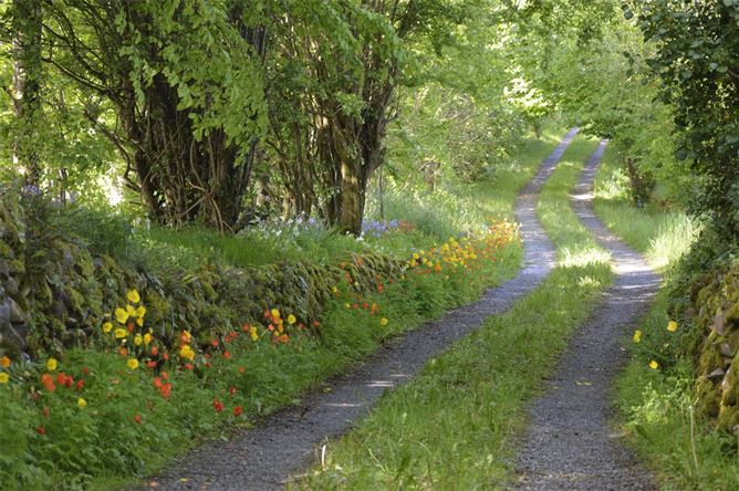 Robins Farm, Knocknaboolagh, Killorglin, Co. Kerry