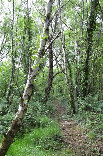 Robins Farm, Knocknaboolagh, Killorglin, Co. Kerry