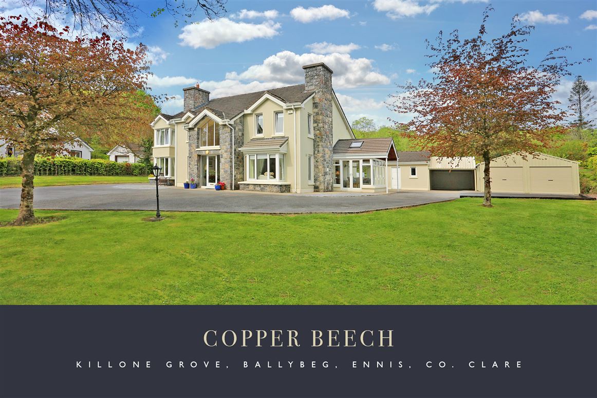 Copper Beech, Killone Grove, Ballybeg, Ennis, Clare