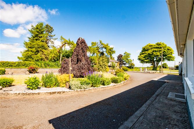 Walterstown, Dalystown,, Rochfortbridge, Westmeath