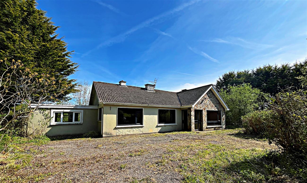 Briska Lower, Lemybrien, Waterford