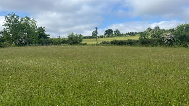 Thomastown, Thomastown, Kilkenny