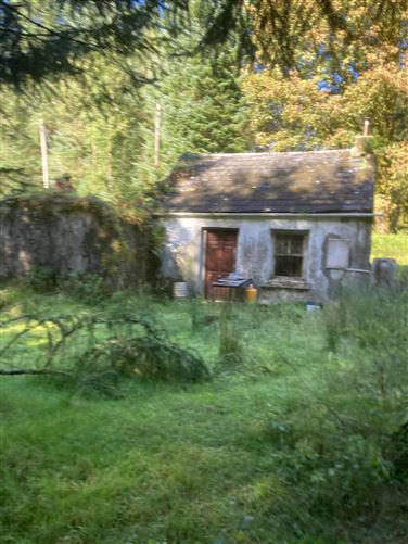 Bunnaglass, Gort, County Galway