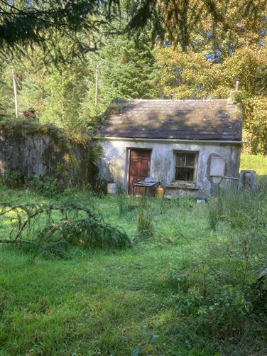Bunnaglass, Gort, County Galway