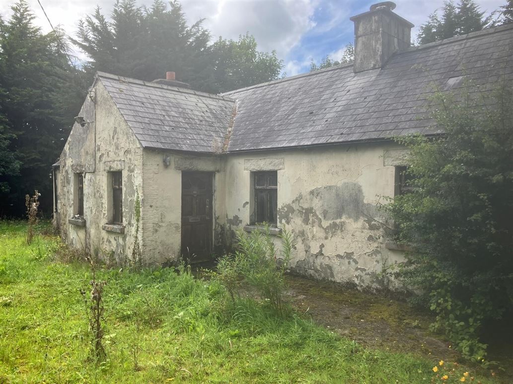 Castleruddery, Stratford-On-Slaney, Baltinglass, Co. Wicklow