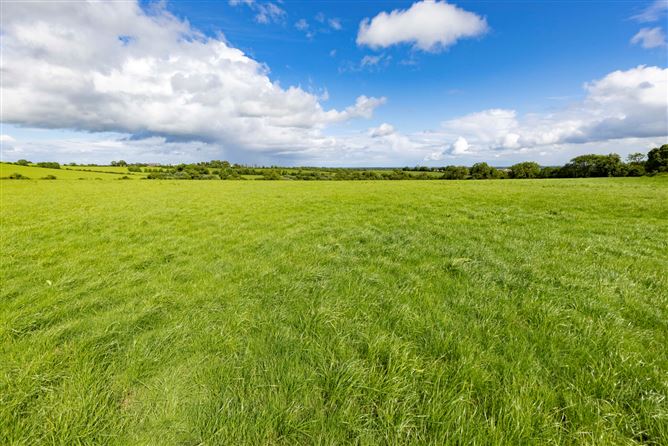 27.5 Ha (68 Acres), Killineer, Drogheda, Co. Louth