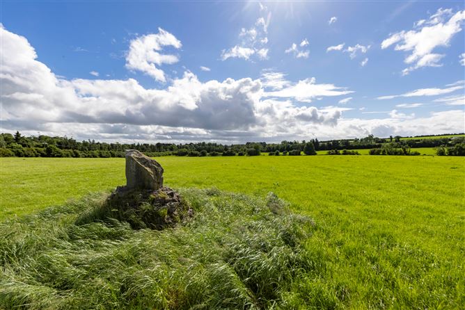 27.5 Ha (68 Acres), Killineer, Drogheda, Co. Louth