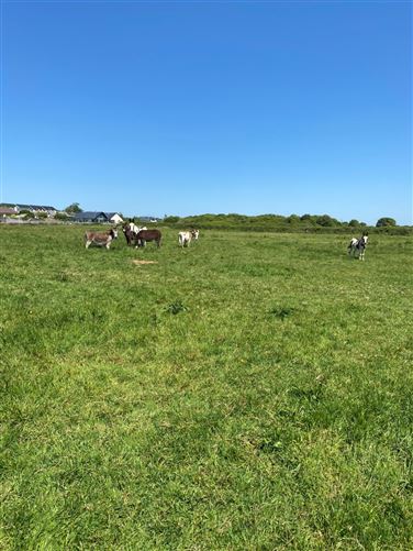 4.57 Acres at Curragreen, Coast Road, Galway