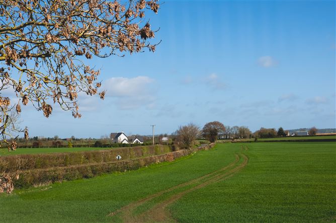 Bloomswood, Grangenolvin, Kilkea, Kildare