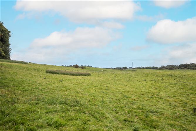 Shandonagh, Mullingar, Westmeath