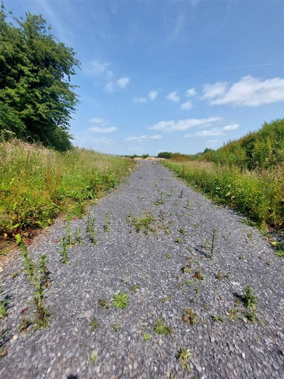 Knockanina, Mountrath, Laois