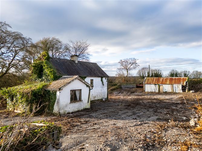 Photo 9 of 39 — Sharavogue, Birr, Co. Offaly