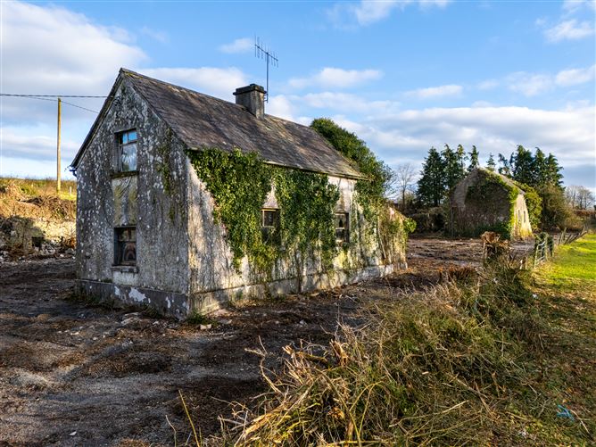 Photo 6 of 39 — Sharavogue, Birr, Co. Offaly