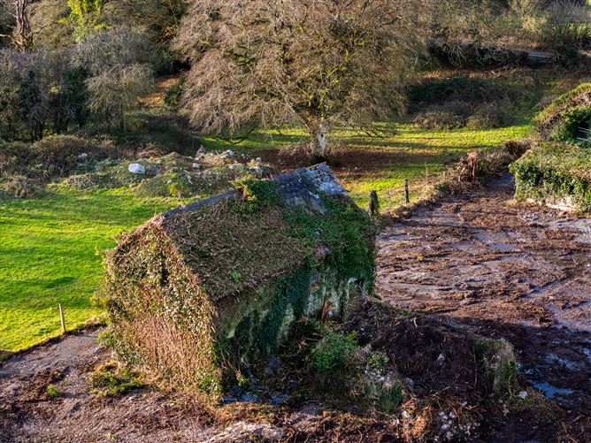 Photo 27 of 39 — Sharavogue, Birr, Co. Offaly
