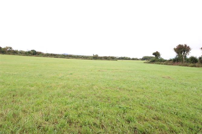Lot 1, Killeen, Borrisokane, Tipperary