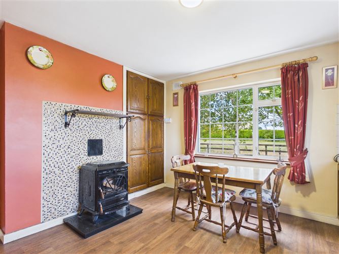 Shanballyduff, Moyne, Thurles, Co. Tipperary